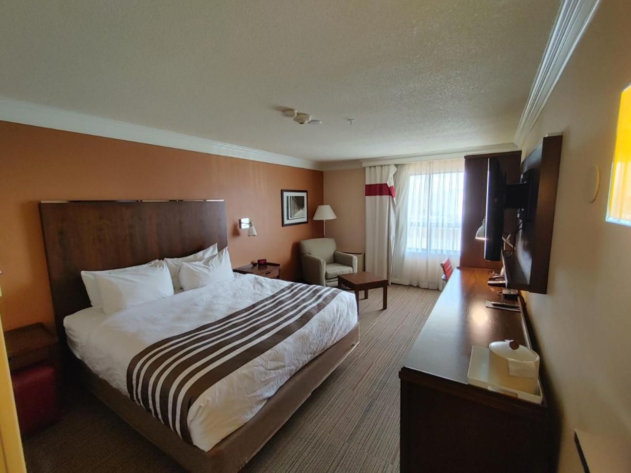 Waterloo Suites Hotel, Trademark Collection By Wyndham Exterior photo